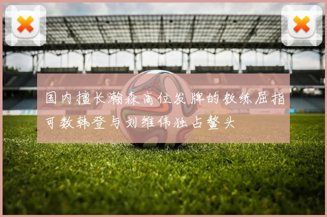 国内擅长瀚森高位发牌的教练屈指可数韩登与刘维伟独占鳌头