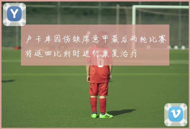 卢卡库因伤缺席意甲最后两轮比赛将返回比利时进行康复治疗